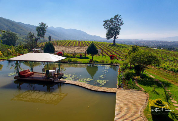 Das Weingut von Aythaya - Das Aythaya Weingut ist mit 1200m.ü M das höchstgelegenste Weingut Asiens. Der Inle See ist nur rund 25km entfernt.