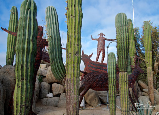 Kakteenlandschaft in der Cataviña-Wüste