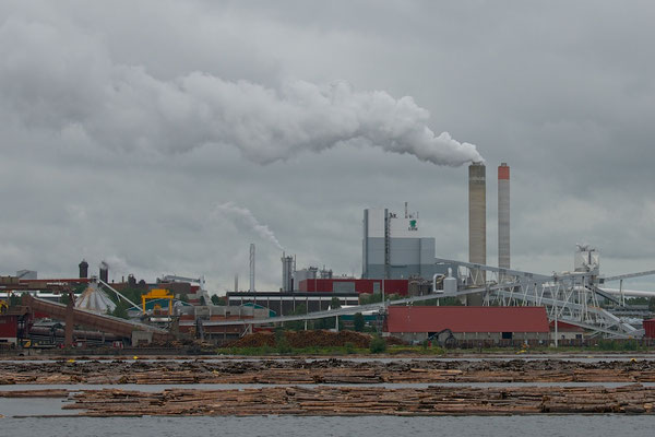 Playboy-Holzfabrik in Lappeenranta