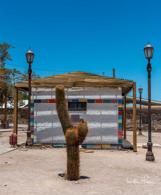 Die Oase Toconao befindet sich etwa 36 km in südöstlicher Richtung von San Pedro de Atacama entfernt am östlichen Rand des Salar de Atacama. 