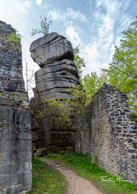 Vom Bergfried der Ruine aus bietet sich ein herrlicher Rundblick über den Oberpfälzer Wald. Bei der Burgruine handelt es sich um eine Höhenburg in Spornlage.