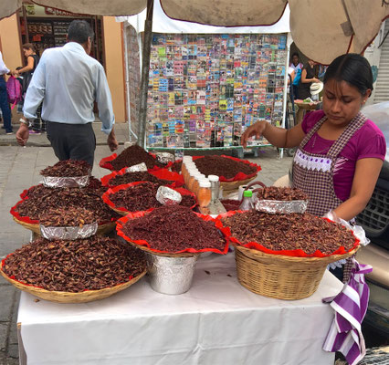 Verkäuferin von Chapulines auf einem Markt in Oaxaca de Juarez
