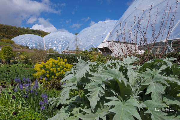 Botanischer Garten Eden Projekt