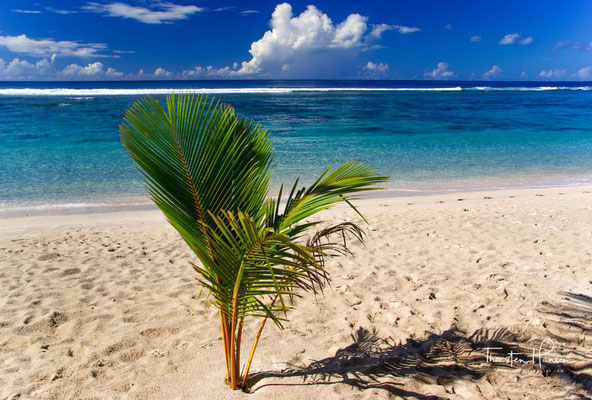 Traumhafter Taufua Beach 