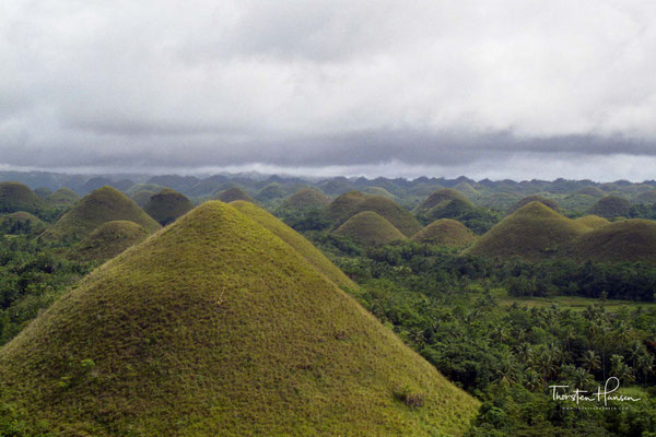 Die Chocolate Hills (deutsch „Schokoladenhügel“) sind eine ungewöhnliche geologische Formation, die zu den bedeutendsten Sehenswürdigkeiten der philippinischen Insel Bohol zählt.