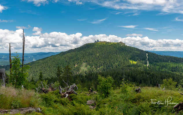 Der Große Arber erreicht mit 1.456 m als einziger Gipfel des Bayerisch-Böhmischen Grenzmassives die klimatische Waldgrenze.