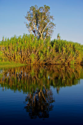 Yello River Kakadu NP