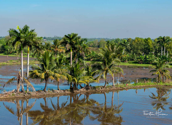 Kokosnussplantagen am Stadtrand von Saigon 