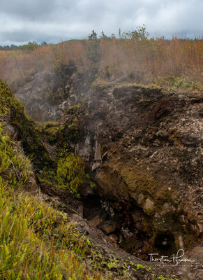 Der Kīlauea Iki ist ein Krater am Rande der Caldera des auf Hawaii liegenden Vulkans Kīlauea. 