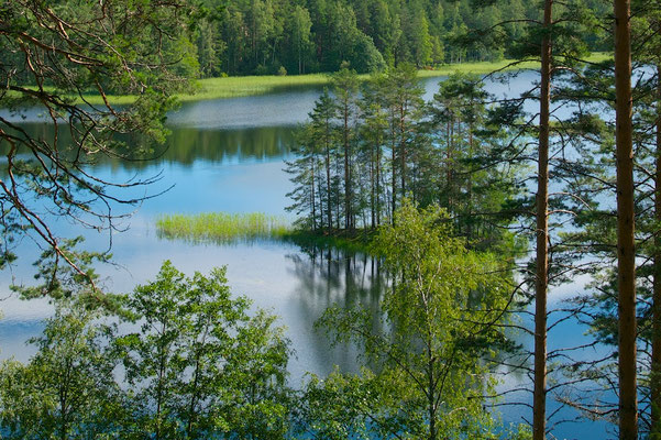 Typische finnische Seenlandschaft