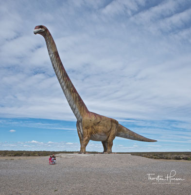 Titanosaurier Kopie in Trelew. Gebaut wurde er in Niedersachsen.