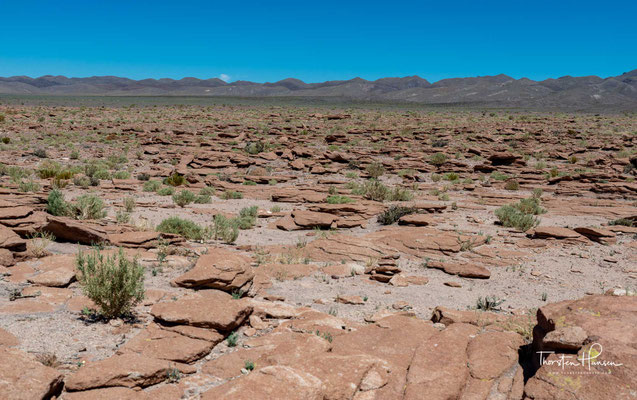 Die Unabhängigkeitsbestrebungen der südamerikanischen Staaten ließen die Atacama an Bolivien fallen.