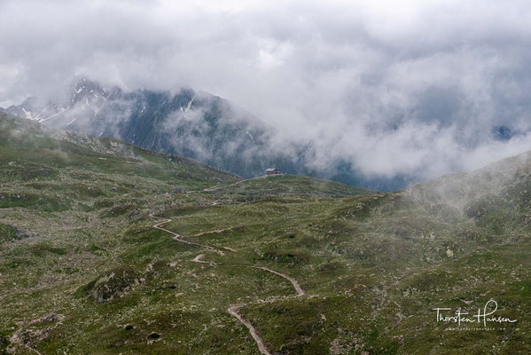 Das Pfitscher Joch (italienisch Passo di Vizze) ist ein 2246 m ü. A. hoher Talübergang über den Alpenhauptkamm vom Nordtiroler Zamser Grund im hinteren Zillertal in das Südtiroler Pfitscher Tal, das ein Seitental des Wipptals ist.