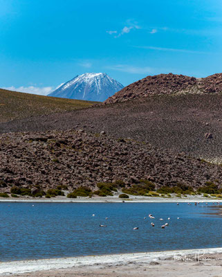 Der Vulkan Parinacota (6348m) und einer der höchstgelegen Seen der Welt, der Lago Chungará (4517m ü.M) in der Nähe von Machuca