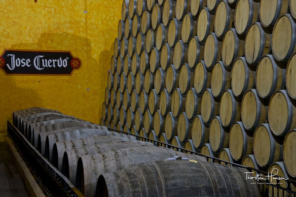 José Cuervo in Tequila in Jalisco