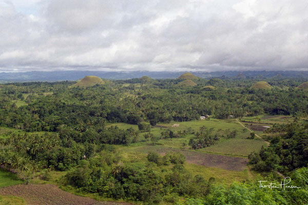 Sie alle sind lediglich mit grünem Gras bewachsen, das sich während der Trockenperiode braun verfärbt und den Hügeln ihren Namen verleiht.