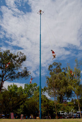 Danza del Volador