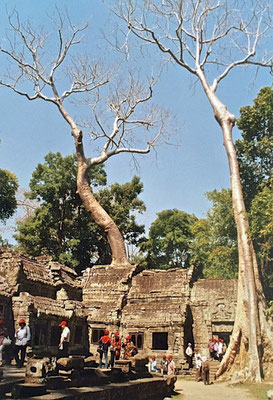 Tempel Ta Prohm