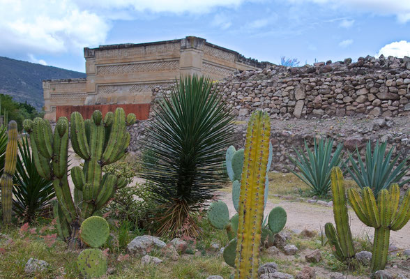 Patio Norte