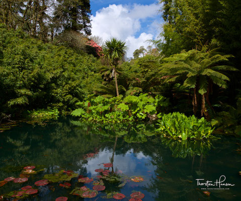 The Lost Gardens of Heligan
