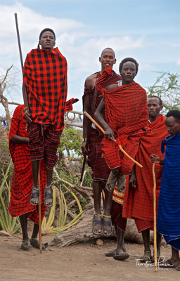 Massai beim Sprung-Tanz