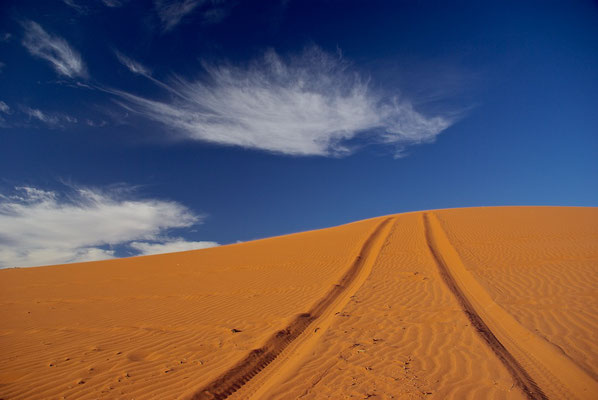 Spuren im roten Wüstensand