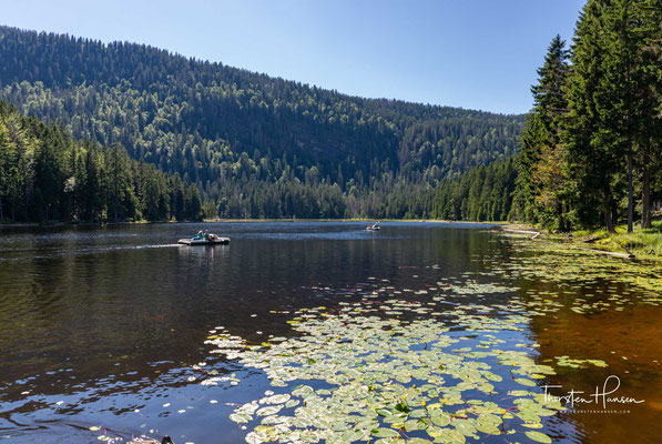 Der Große Arbersee ist ein See im Bayerischen Wald an der Südostflanke des Großen Arbers.