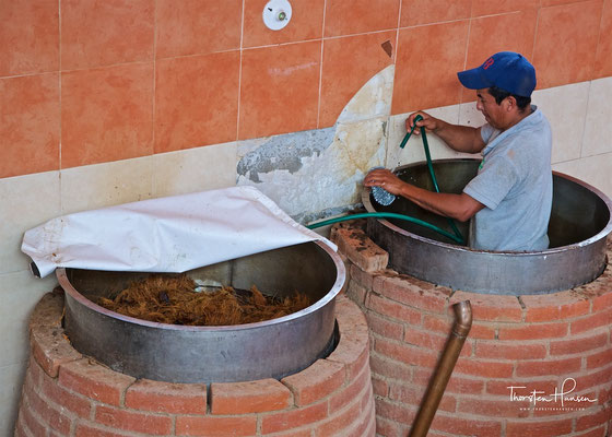 Don Agave Mezcal