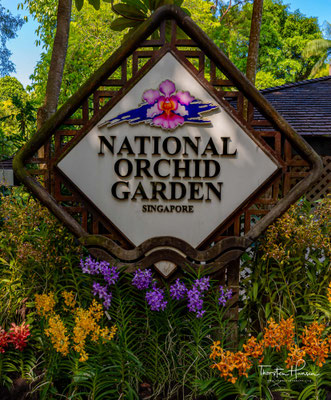 Singapore Botanic Gardens (Botanische Gärten von Singapur) ist einer der wichtigsten Botanischen Gärten Asiens