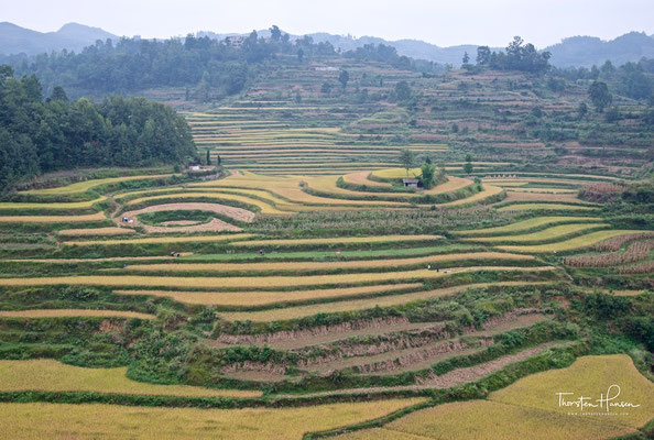 Landwirtschaft in China