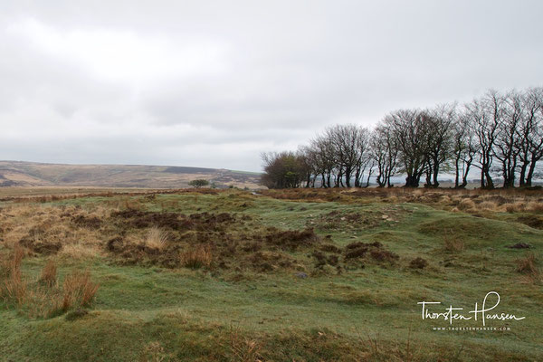 Exmoor-Nationalpark