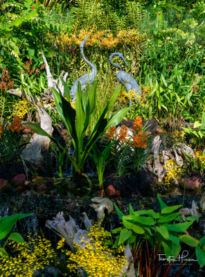 Er ist 74 Hektar groß und ist mit jährlich 4,2 Millionen Besucher der meistbesuchte botanische Garten der Welt.
