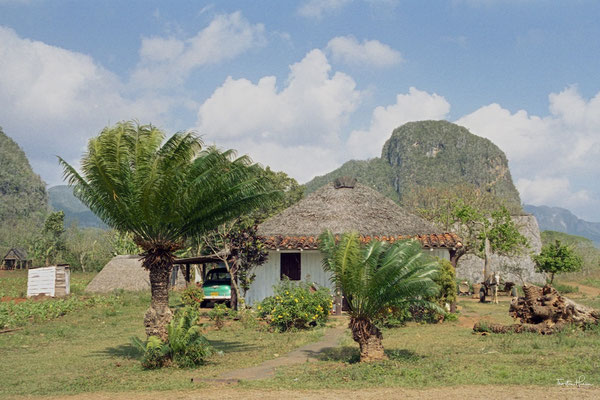 Tabakanbaugebiet Valle de Viñales