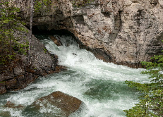 Der Maligne River ist ein rechter Nebenfluss des Athabasca River in der kanadischen Provinz Alberta.