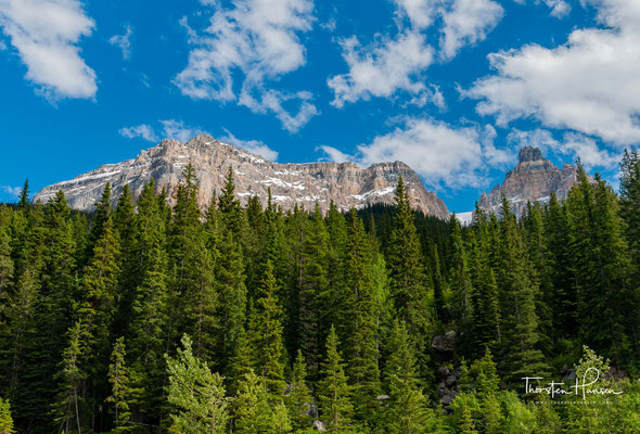 Das rasche Wachstum der Stadt Banff in den letzten Jahren hat die Befürchtung genährt, die unberührte Natur des gleichnamigen Naturparks könnte Schaden nehmen. 