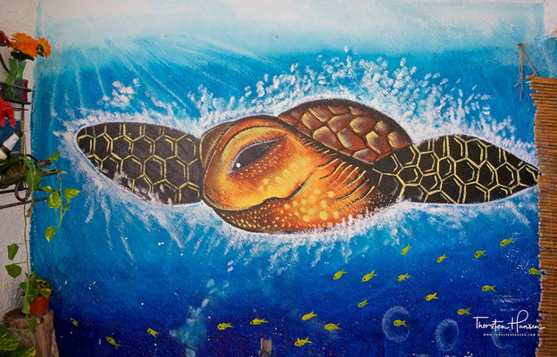Barra Vieja Beach - Schildkrötenstation 