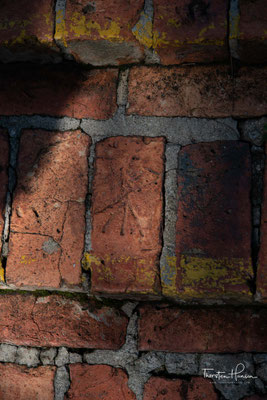 Wenn Sie die Treppe des Pflanzenhauses hinauflaufen, sollten Sie genauer hinschauen. Die Ziegelsteine dieser Treppe wurden von Kriegsgefangenen während des 2. Weltkrieges gefertigt und als stiller Akt des Widerstands mit Pfeilen versehen.