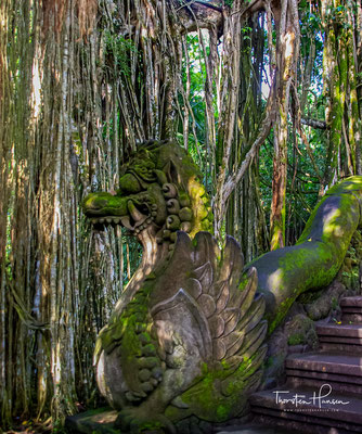 „Heiliger Affenwald Ubud“ – Sacred Monkey Forest Sanctuary , es handelt sich hierbei um einen hinduistischen Tempelkomlex, der der Gemeinde sehr wichtig ist. 