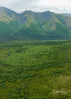 Unter russischer Souveränität hieß der Berg „Bolschaja Gora“ (Большая Гора, deutsch „großer Berg“), eine Übersetzung des Wortes Denali. 