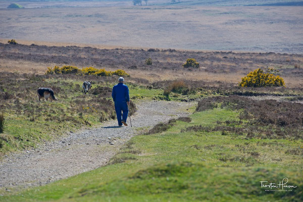 Exmoor-Nationalpark