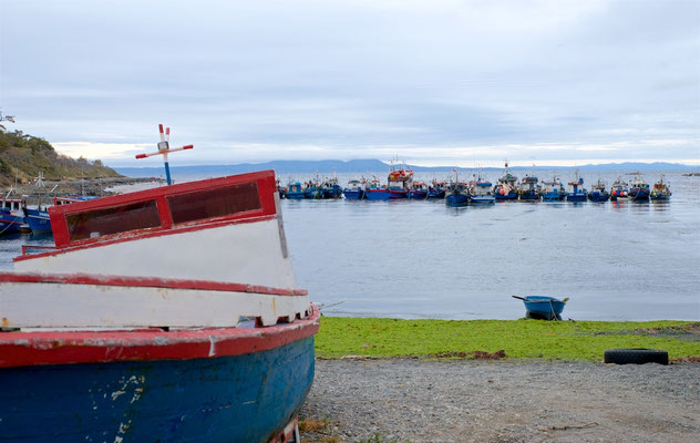 Puerto del Hambre (deutsch: Hungerhafen) ist ein Naturhafen auf der Brunswick-Halbinsel an der Nordküste der Magellanstraße, rund 60 km südlich von Punta Arenas in Chile gelegen.