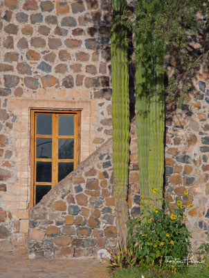 San Ignacio, Baja California Sur