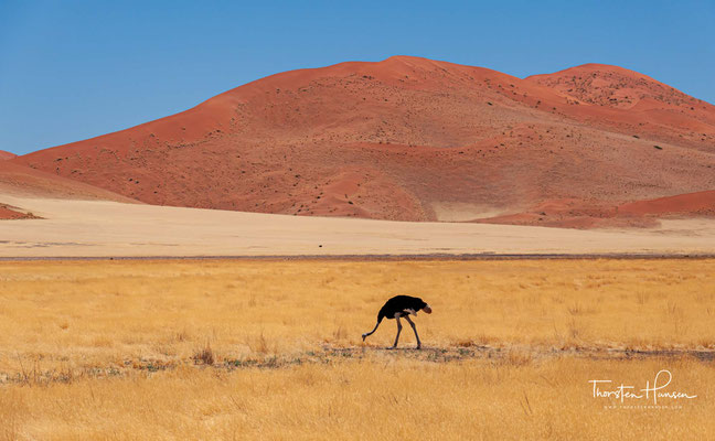 Es wurde wegen seiner herausragenden Wüstenlandschaft, der reichen Tier- und Pflanzenwelt mit großer endemischer Vielfalt und den geologischen Prozessen zum Weltnaturerbe erklärt.