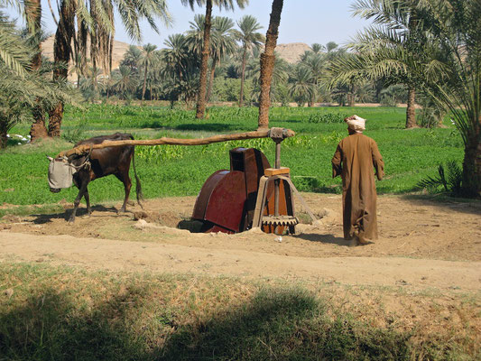 Dorfszenen aus Abu Sad