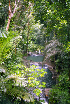 Hidden Valley Springs