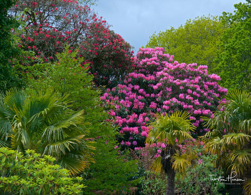 Lanhydrock House