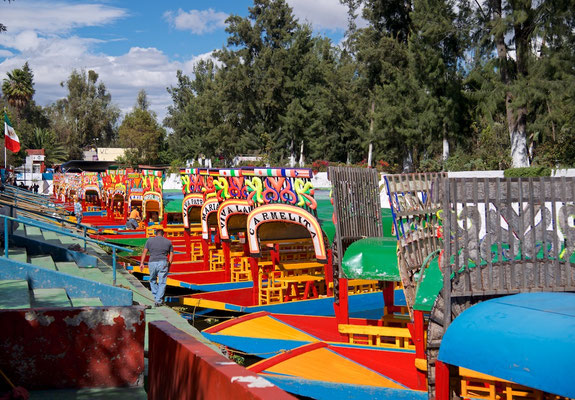 Boot in den Chinampas von Xochimilco