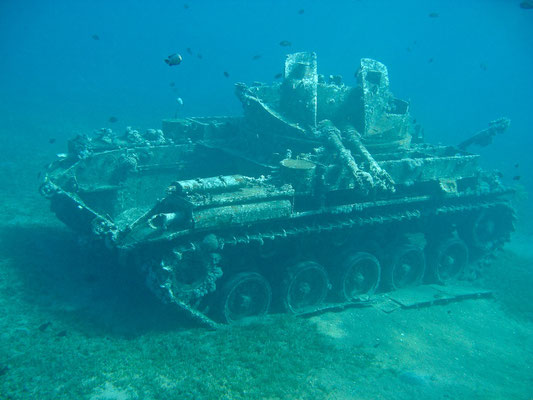 Tauchen in Aqaba