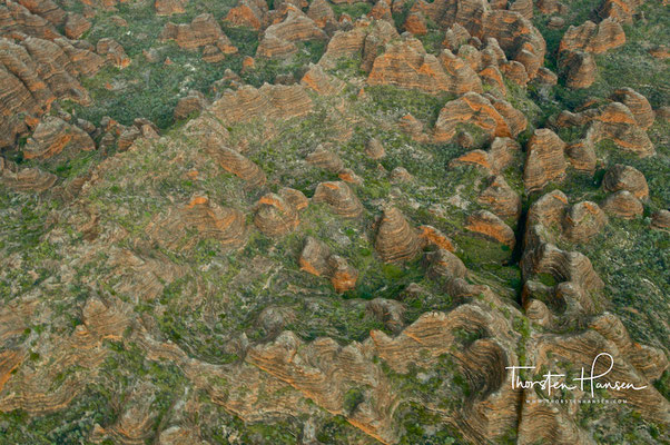 Bungle Bungle Range: Purnululu National Park in den Kimberleys