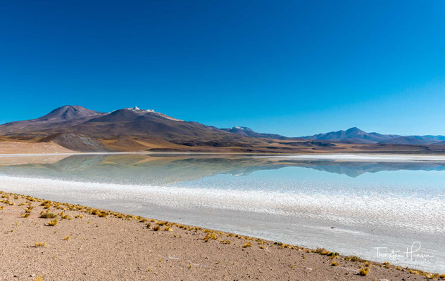 Der Salar de Pujsa ist eine geomorphologische Salzpfanne in der Atacamawüste in Nord-Chile. Er liegt eingebettet in der Hoch-Puna, rund 90 km südöstlich von San Pedro de Atacama.